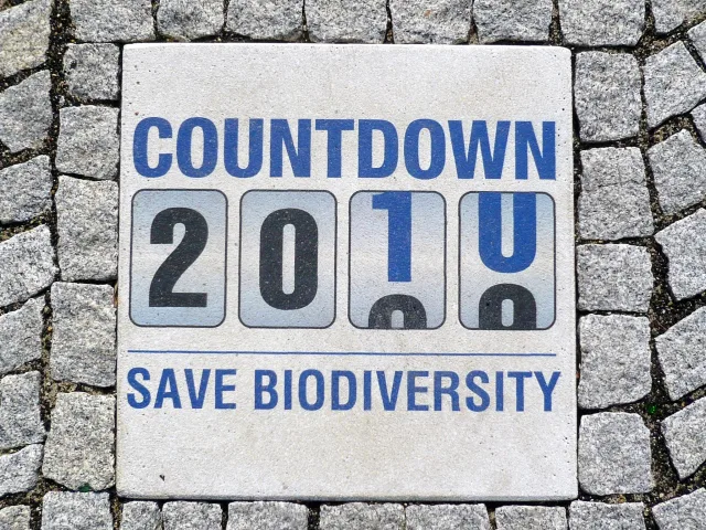 Stadtplatz am Glambecker Ring