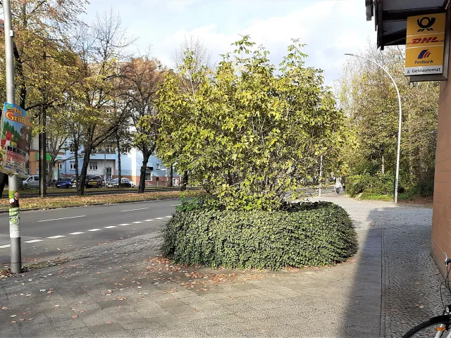 Greifswalder Straße