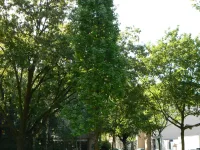 Esperantoplatz (Berlin)