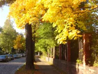 Viktoriastraße (Lichterfelde)